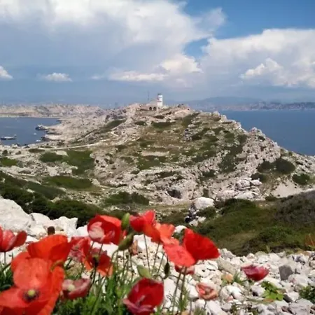 Charmant Studio Climatise Au Milieu Du Parc Naturel Marseille Exterior photo
